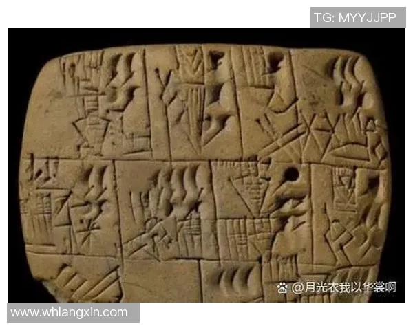 韩国李姓足球明星的辉煌历程与成就解析